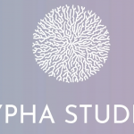 Hypha Studios
